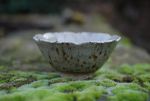 The Tea Bowl with Ash glaze 2020