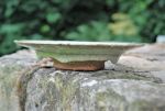 The Plate with Ash glaze 2021. The price of this piece is 45 Euros